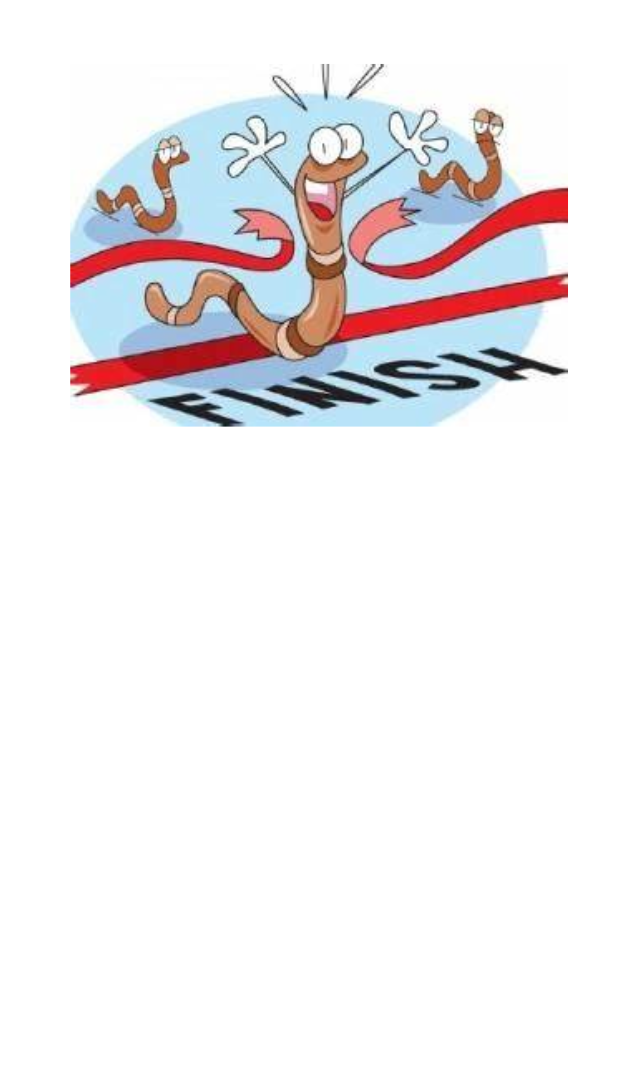 A worm coming across a finish line.